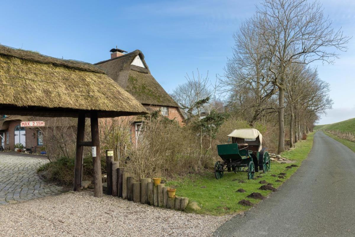 Deichmuschel Villa Woehrden Exterior photo